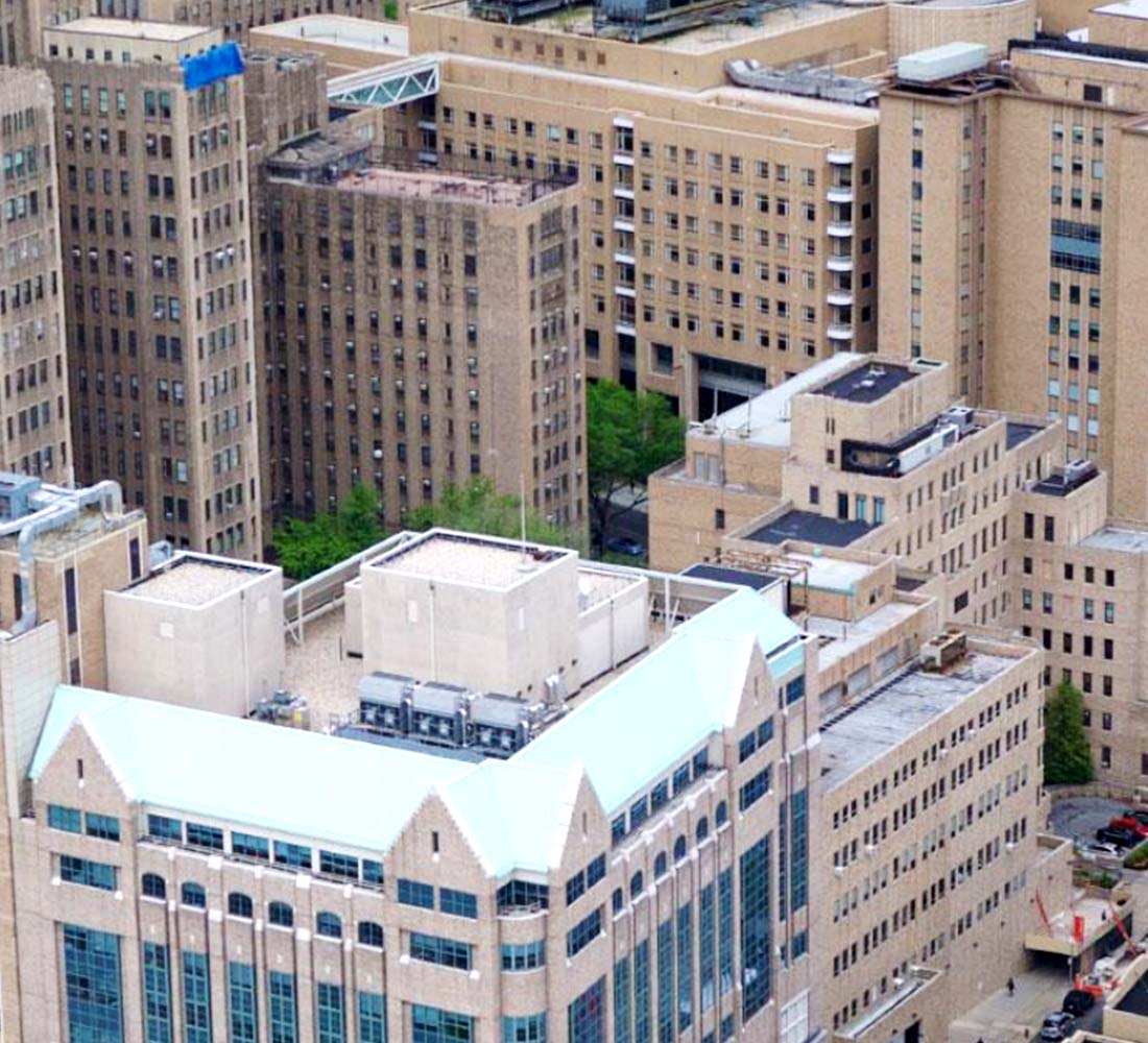 New York - Presbyterian Hospital