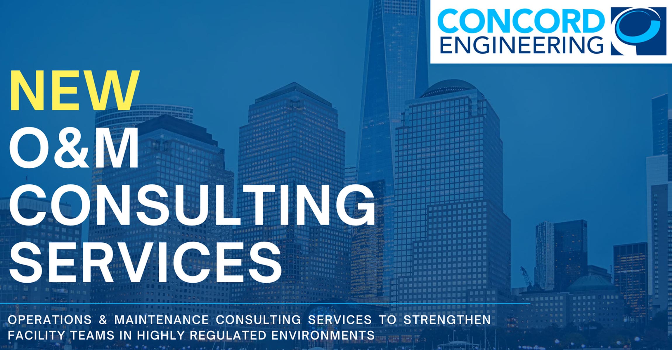 Operations & Maintenance Consulting Services